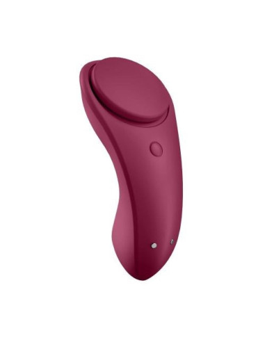 Sexy Secret Panty Vibrator
