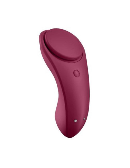 Sexy Secret Panty Vibrator