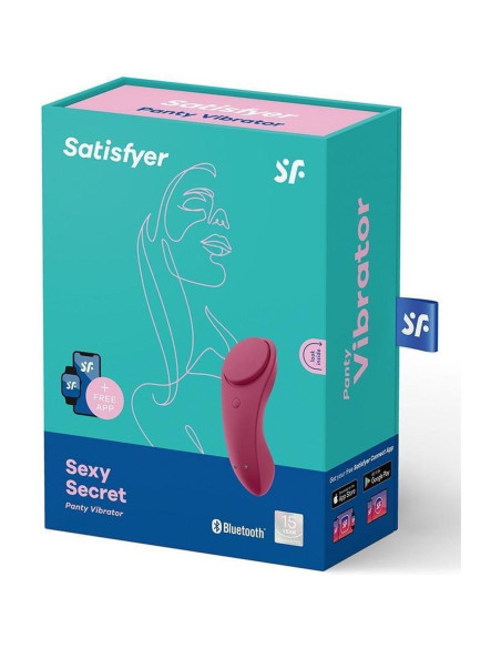 Sexy Secret Panty Vibrator