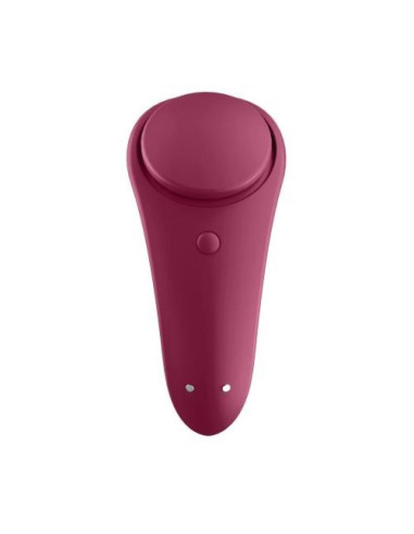 Sexy Secret Panty Vibrator