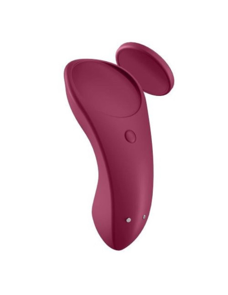 Sexy Secret Panty Vibrator