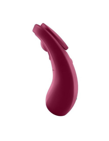 Sexy Secret Panty Vibrator