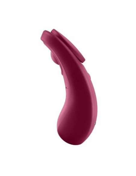Sexy Secret Panty Vibrator