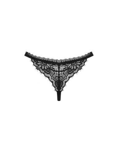 Maderris stringi  M/L