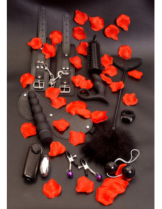 Zestaw-AMAZING PLEASURE SEX TOY KIT 2