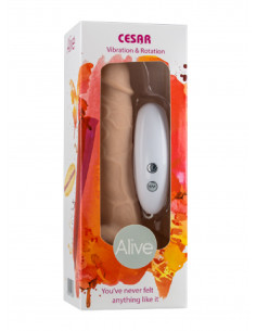 Wibrator-AL.Cesar.Realistic.TPR. Rot & Vib
