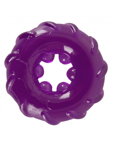 Surprise Surprise Sex Toy Set