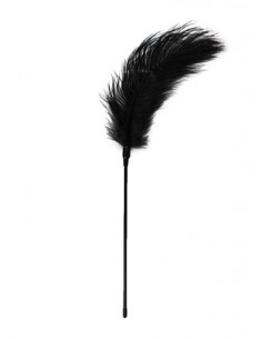 Pejcz-Black Feather Tickler 2