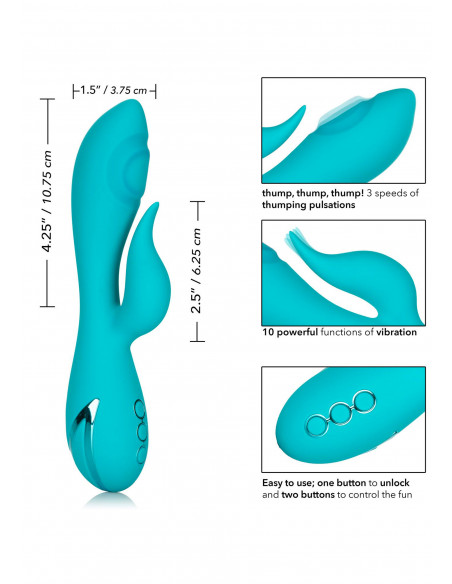 Wibrator-Santa Monica Starlet