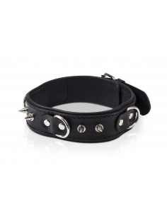 Wiązania-WHIPS obroża męska z półkółkami i smyczą 2