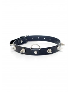 Fetish Boss Series Collar with studs 2 cm