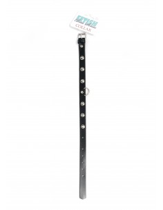 Fetish Boss Series Collar with studs 2 cm 2