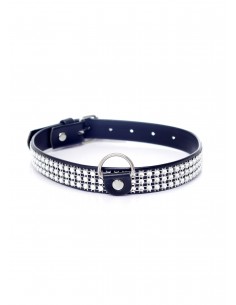 Fetish Boss Series Collar with crystals 2 cm silver