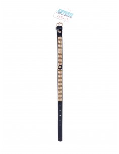 Fetish Boss Series Collar with crystals 2 cm gold 2