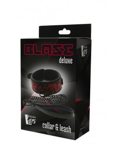 BLAZE DELUXE COLLAR & LEASH 2