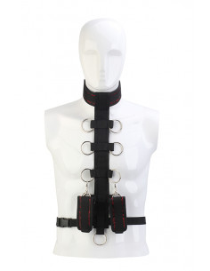 BLAZE DELUXE COLLAR BODY RESTRAINT