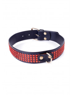 Fetish Boss Series Collar with crystals 3 cm Red Line