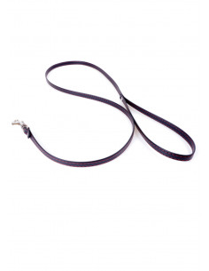 Fetish Boss Series Leash Red Line 2