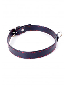 Fetish Boss Series Collar  2cm Red Line 2