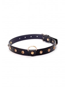 Fetish Boss Series - Collar 2 cm gold crystal