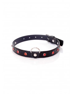Fetish Boss Series Collar - 2 cm. red crystal