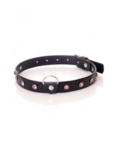 Fetish Boss Series Collar - 2 cm pink crystal
