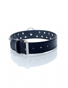 Fetish Boss Series - Collar 3 cm. red crystal 2