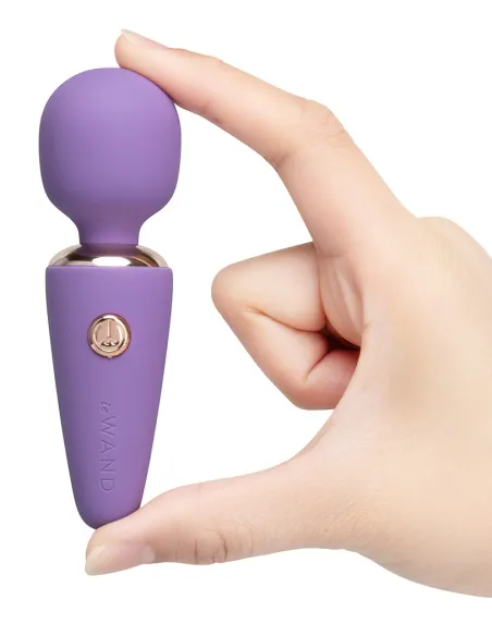 le Wand Mini Microwand Rose Vi