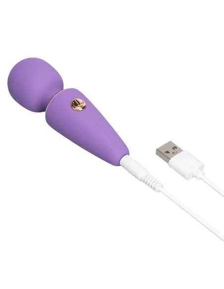 le Wand Mini Microwand Rose Vi