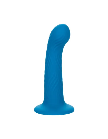 Wave Rider Ripple