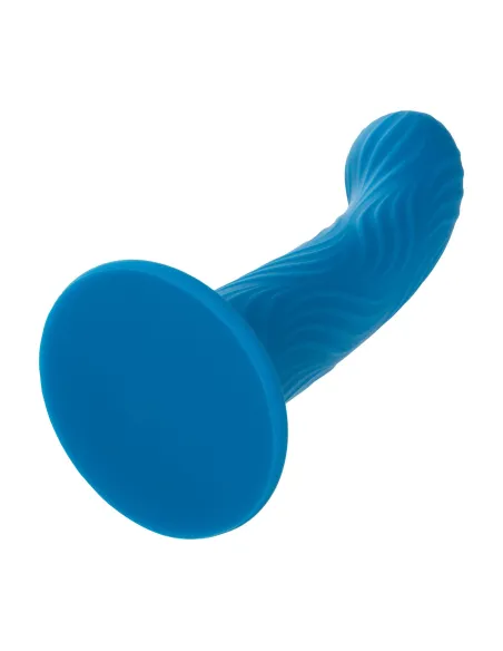 Wave Rider Ripple