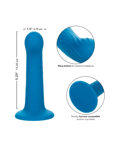 Wave Rider Ripple