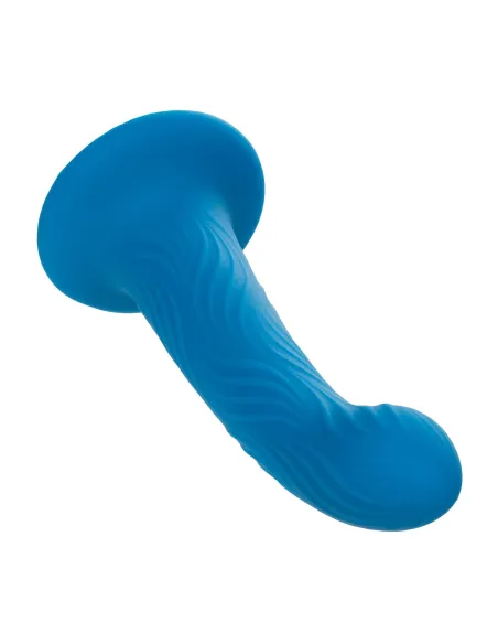 Wave Rider Ripple