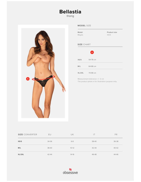 Bellastia stringi  M/L