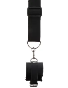 Door Bars and Wrist Cuffs 2