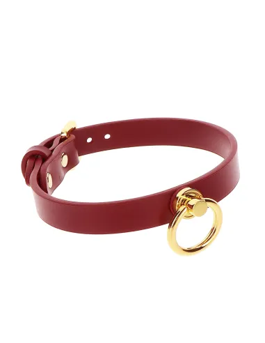 O-Ring Collar