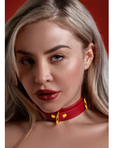 D-Ring Collar Deluxe