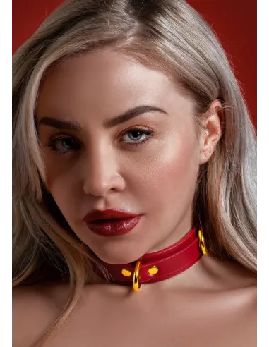 D-Ring Collar Deluxe