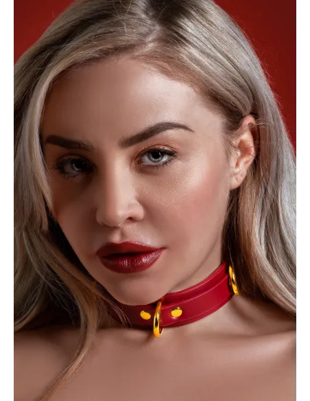 D-Ring Collar Deluxe