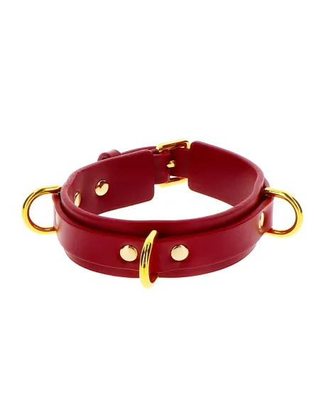 D-Ring Collar Deluxe