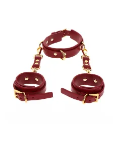 D-Ring Collar and Wrist Cuffs 2