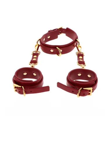 D-Ring Collar and Wrist Cuffs