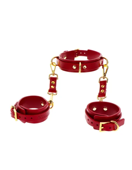 D-Ring Collar and Wrist Cuffs