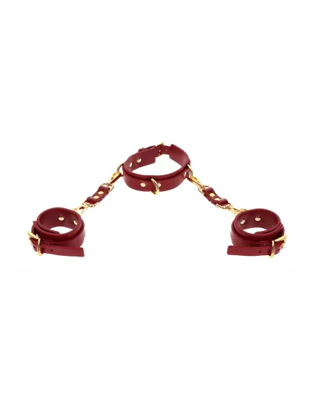 D-Ring Collar and Wrist Cuffs