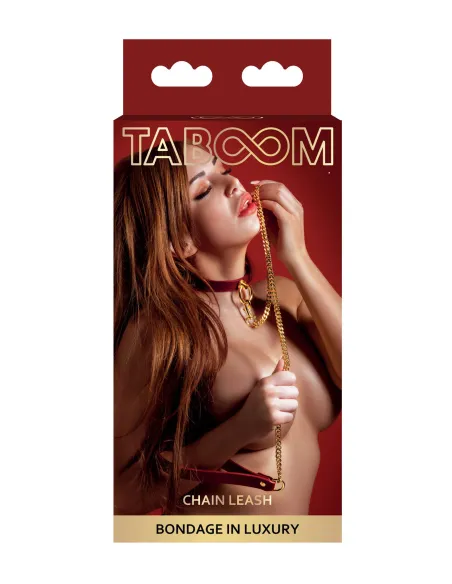 Chain Leash