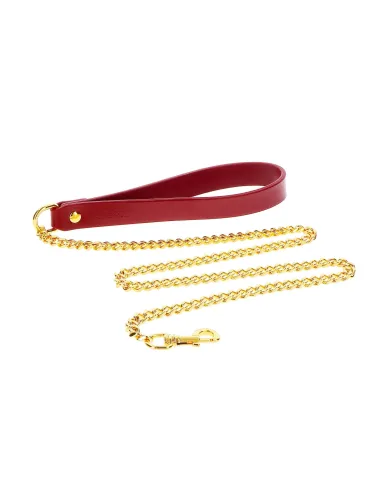 Chain Leash