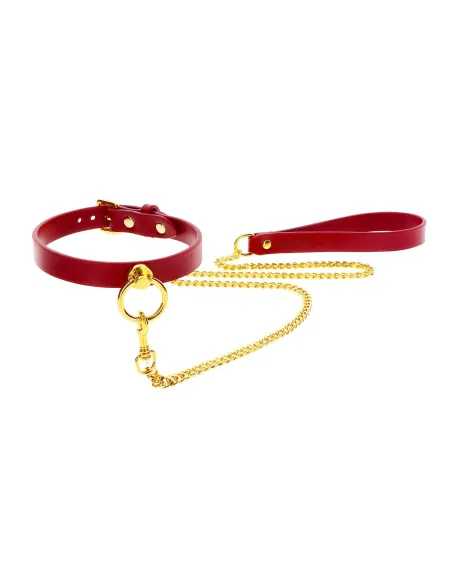 O-Ring Collar and Chain Leash