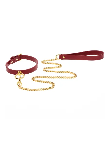 O-Ring Collar and Chain Leash