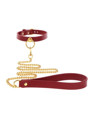 O-Ring Collar and Chain Leash
