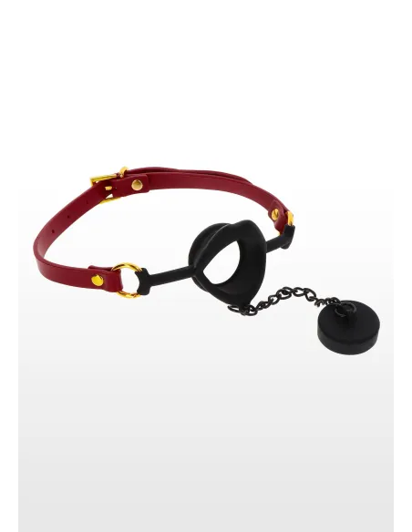 Kinky Gag with Plug